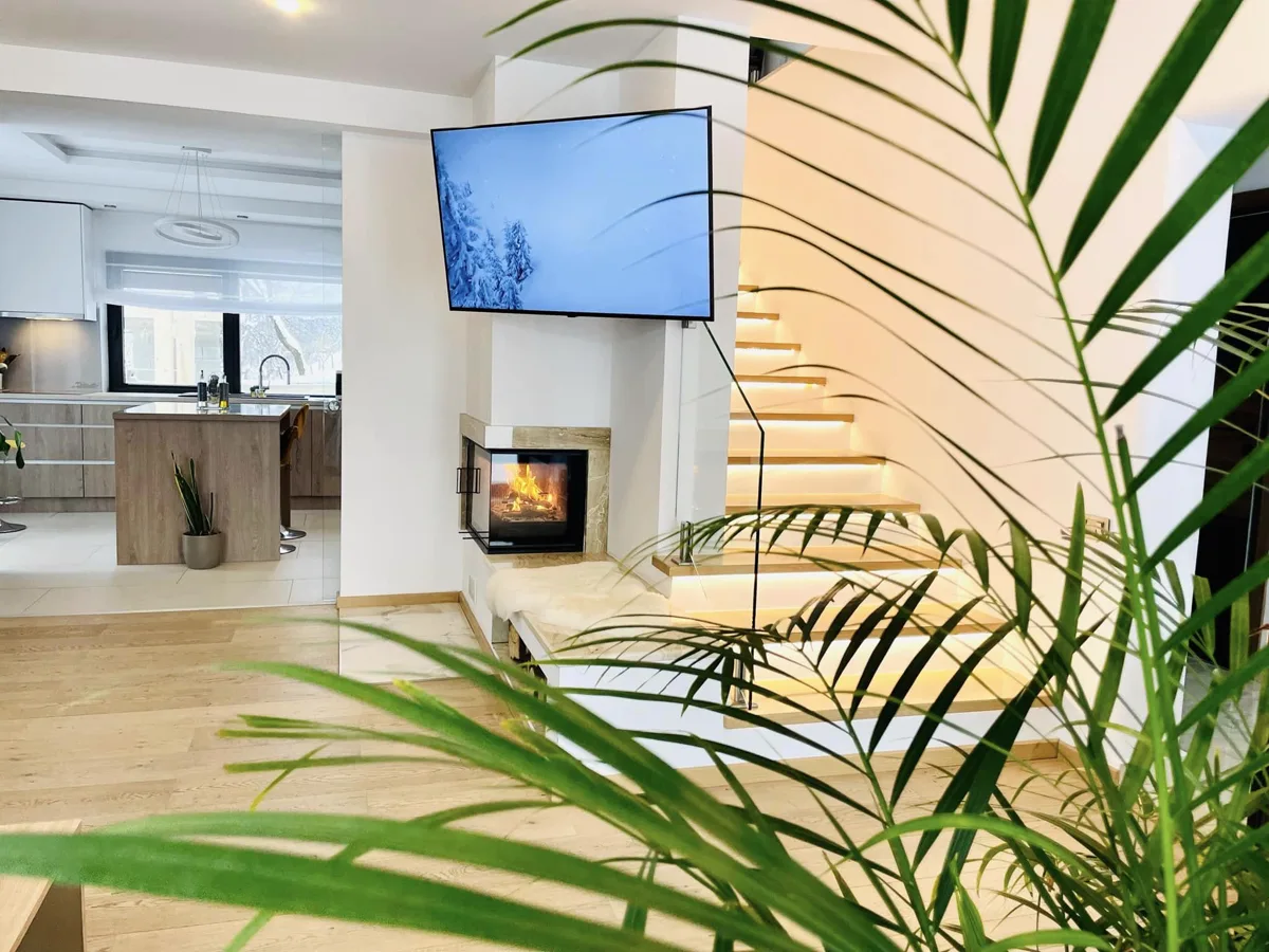 Living room with fireplace, TV and tropical plants