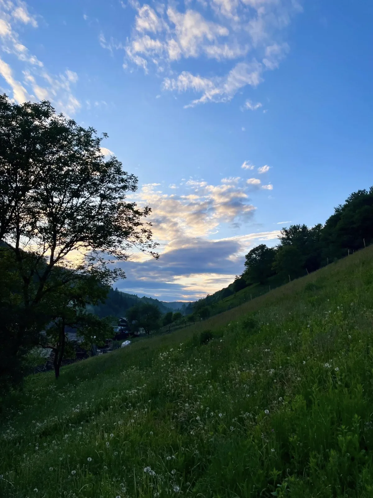 Gentle sunset over meadows and orchards